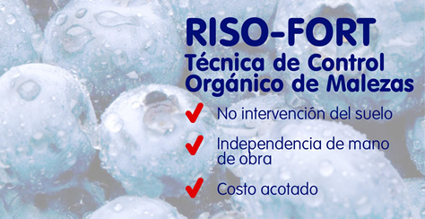 Riso-Fort, técnica de control orgánico de malezas.